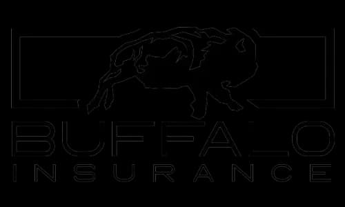 logo for Buffalo Insurance